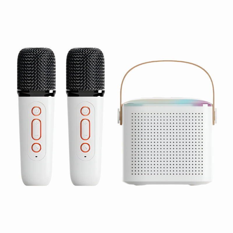 Wireless Karaoke System – Dual Microphones, Bluetooth 5.3, DSP Sound, RGB LED Lights, Hi-Fi Stereo PA Speaker