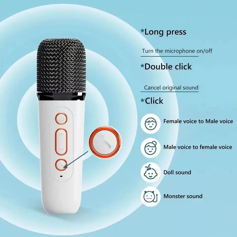 Wireless Karaoke System – Dual Microphones, Bluetooth 5.3, DSP Sound, RGB LED Lights, Hi-Fi Stereo PA Speaker